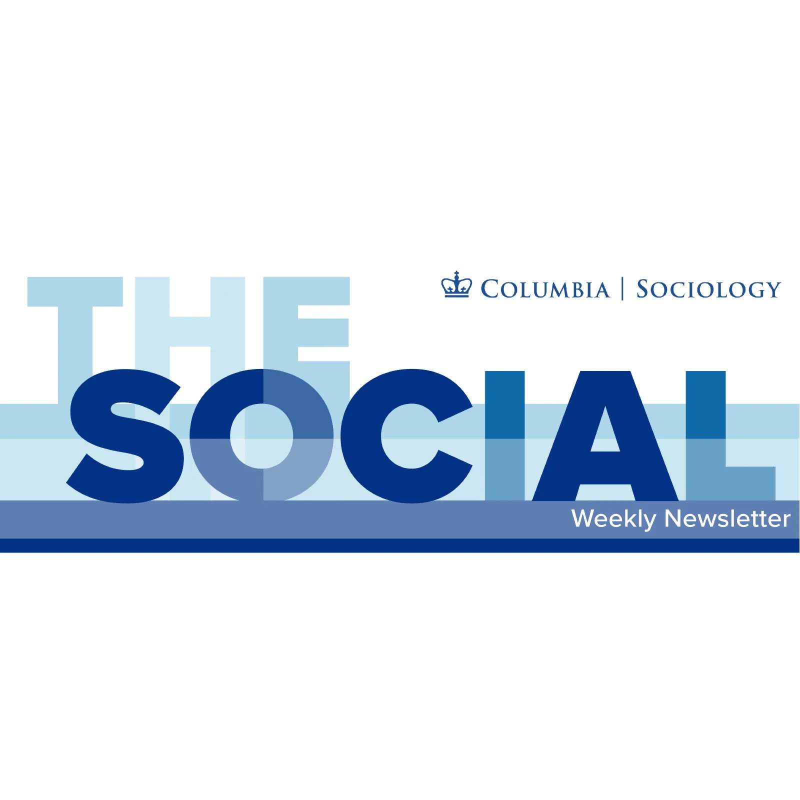 Newsletter logo