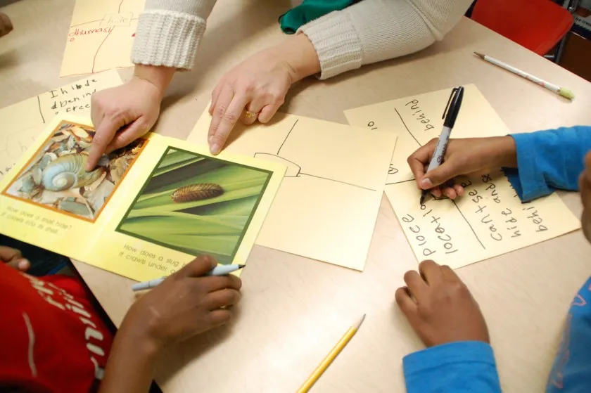 Somali students learn English in a newcomer class in Minnesota. (Tim Post / Minnesota Public Radio)
