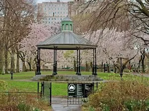 Sakura Park